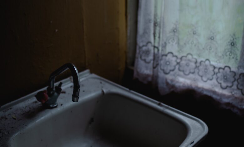 Laundry sink